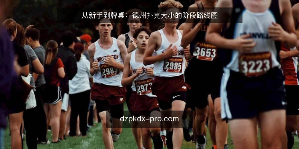 从新手到牌桌:德州扑克大小的阶段路线图 — 基线:先厘清德州扑克大小的基本盘 配图