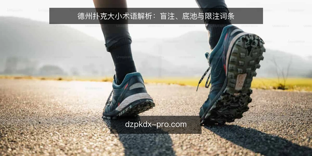 德州扑克大小术语解析:盲注、底池与限注词条 — 德州扑克大小术语概览 配图