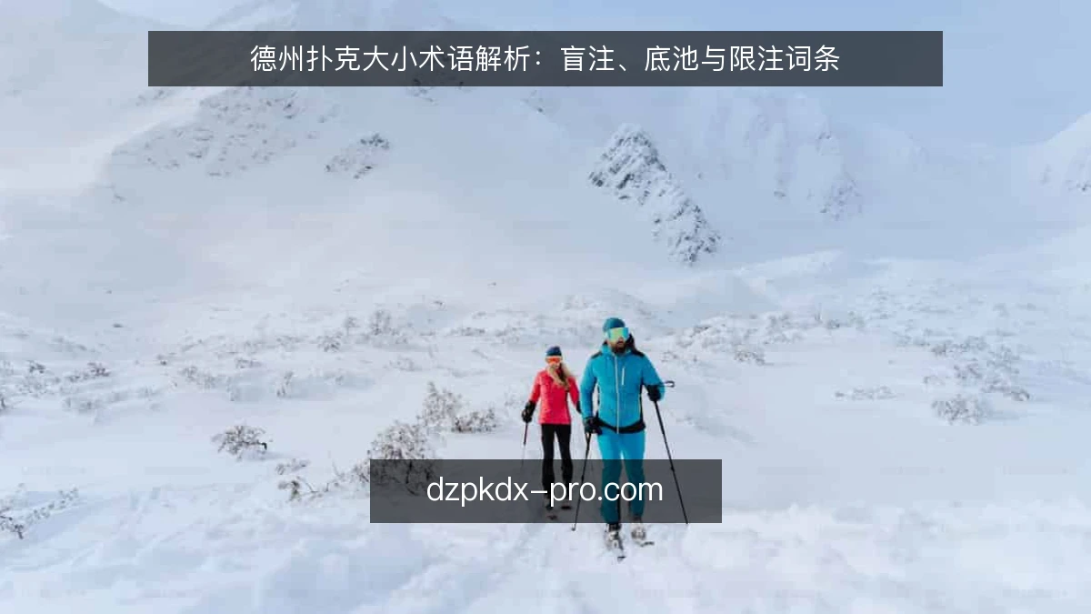 德州扑克大小术语解析：盲注、底池与限注词条