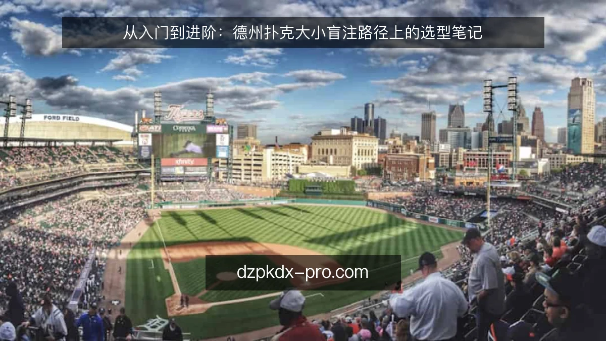 从入门到进阶：德州扑克大小盲注路径上的选型笔记